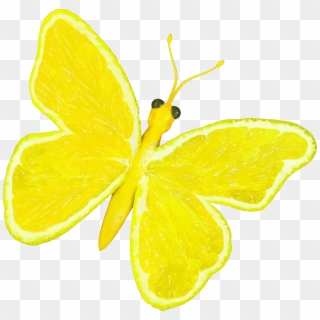 This Free Icons Png Design Of Citrus Fruit Butterfly - Lemon Butterfly Clipart