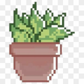 Cactus Png Pixel - Pixel Art Succulents Transparent Clipart