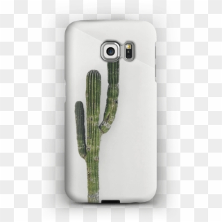 The Single Cactus Case Galaxy S6 Edge - Weberocereus Clipart
