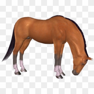 Png Horse, Png At, Png Horse Images, Png At Resimleri, - Photoshop Clipart