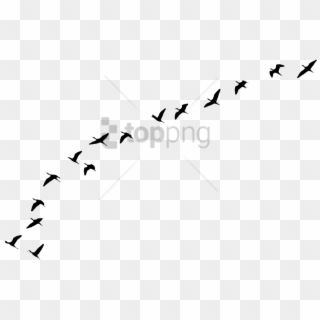 Free Png Flying Birds Tattoo Png Image With Transparent - Aves Volando Png Clipart