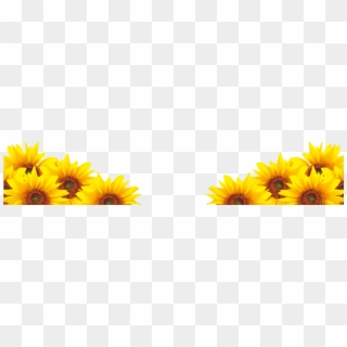 Sunflower Png Clip Art Image - Borde Girasoles Png Transparent Png