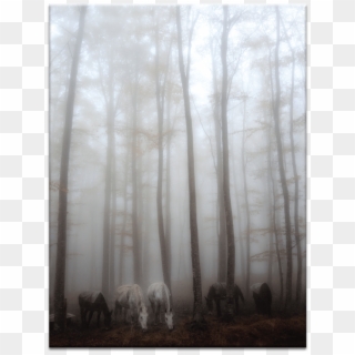 Fog - Woodland Clipart