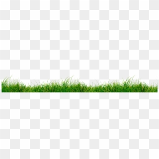 Grass Section Png Clipart