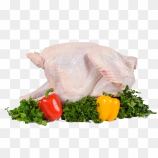 Turkey Food Png, Download Png Image With Transparent - Индейка Тушка Мясо Пнг Clipart