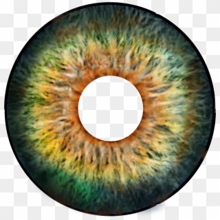 Eyeball Clipart Eye Forward - Circle - Png Download