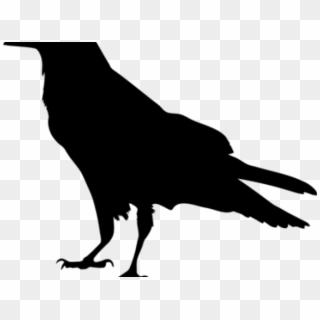 Mockingbird Clipart Halloween Raven - Raven Silhouette - Png Download