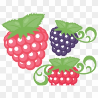 Raspberries Clipart Cute - Scalable Vector Graphics - Png Download