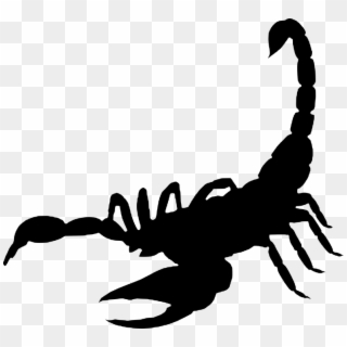 Scorpion, Arachnida , Silhouette - Vis A Vis Frases Clipart