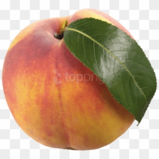 Free Png Peach With Leaf Png Images Transparent - Apricot Clipart