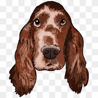 Irish Setters, Why Are You A Dog On This Weeks Show - Irish Setter Png Clipart
