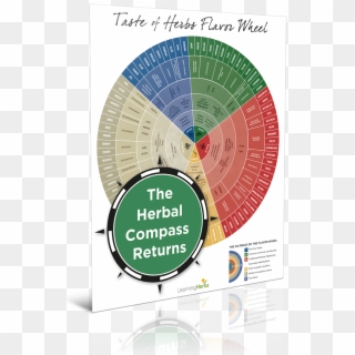 How To Choose The Right Herb For The Right Person With - Flavor Wheel Of Herbs Clipart