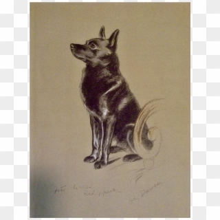 1930's-1940's Lucy Dawson, Schipperke Named Peter Framed - Black Norwegian Elkhound Clipart