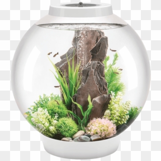 Combining The Classic Look Of A Fish Bowl With Modern - Biorb Classic 60 Clipart
