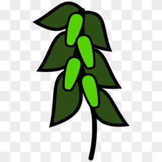 Icon Green Peas Plants Png Image Clipart
