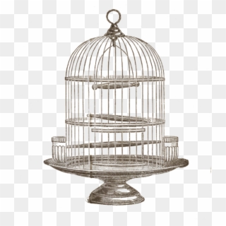 Vintage Birdcage Png - Trifles Play Bird Cage Clipart
