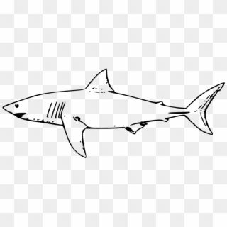 Shark Outline Png - Shark Black And White Clipart Transparent Png