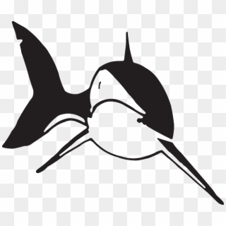 Shark Clipart