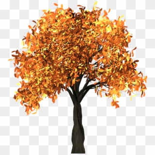 File Rec - Animated Autumn Tree Png Clipart