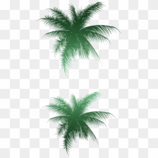 Pe De Coco Desenho Png - Vector Clipart
