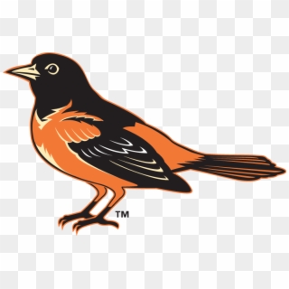 Baltimore Orioles Lifelike Bird Hat Logo - Baltimore Oriole Clip Art - Png Download