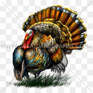 Pin Turkey Clipart Transparent Background - Illustration - Png Download