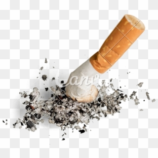 Ashed Cigarette Png Clipart