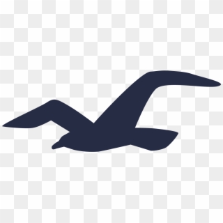 Seagull Logo Png - Hollister Logo Bird Clipart