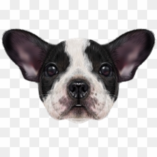 French Bulldog Png Image - Bulldog Clipart