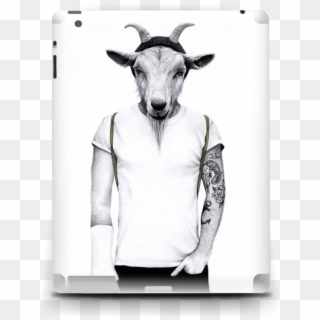 Hipster Goat Skin Ipad 4/3/2 - Plakat Interiør Clipart