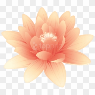 Free Png Download Flower Orange Png Images Background - Sacred Lotus Clipart
