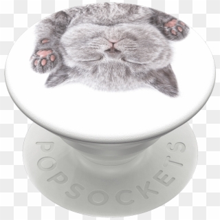 Cat Nap Popsockets Popgrip Png Transparent Png White - Popsocket Katze Clipart