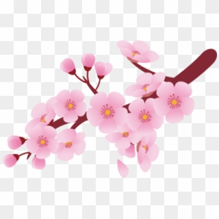 Flower Clip Art - Cherry Blossoms Clip Art - Png Download