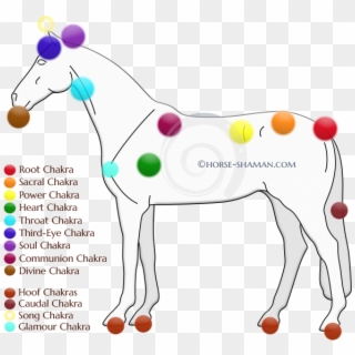 Part - Chakras On A Horse Clipart