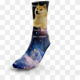 Image Of Doge In Space - Ferret Clipart