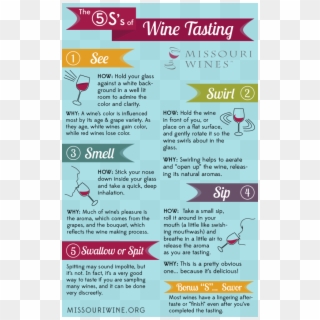 Tasting Wine Is Simple With The 5s Method - Brochure Clipart
