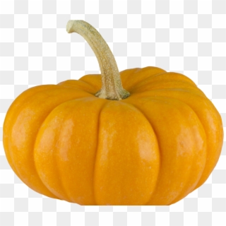 Pumpkin Png Image - Pumpkin Clipart