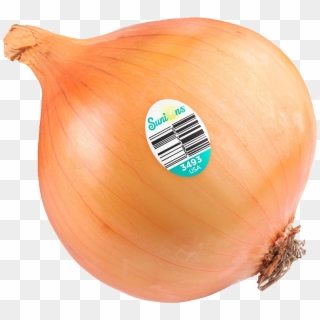 Sunions® - Yellow Onion Clipart