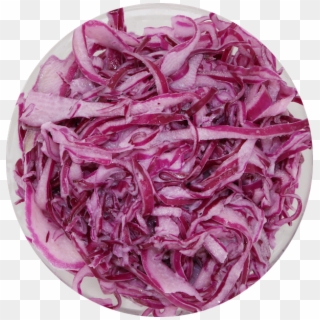Cabbage Slaw - Red Cabbage Clipart