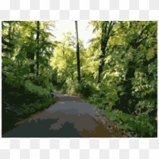 Wilderness Clipart Forrest Tree - Dirt Road - Png Download