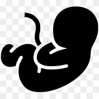 Fetus Pregnancy Pregnant Motherhood Transparent Background - Fetus Png Clipart