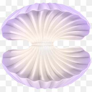 Jpg Transparent Open Clam Clipart - Open Shell Transparent Background - Png Download