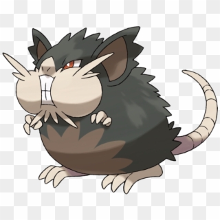 I Never Thought I Would Actually Be Seriously Writing - Alolan Raticate Clipart
