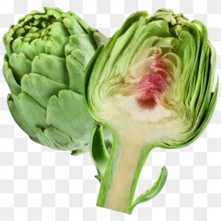Download Png Image Report - Artichokes Png Clipart