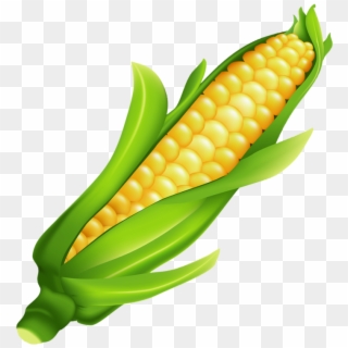 Ear Of Corn Clipart - Png Download