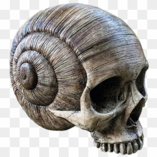 Skull Horn Death Day Of The Dead Png Image - Snail Skull Clipart