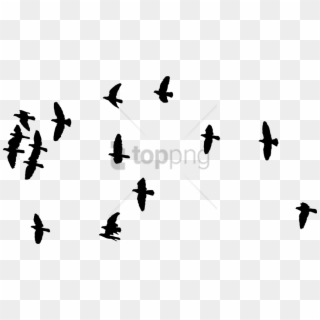 Free Png Flock Of Birds Silhouette Png Image With Transparent - Silhouette Of Flock Birds Clipart