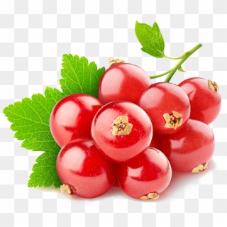 Red Currants Are Hardy And Relatively Easy To Grow - Swisse 蔓 越 莓 90 Clipart