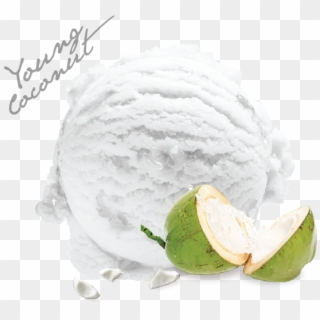 Fragrant Coconut - Soy Ice Cream Clipart