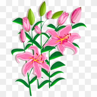 Lily Flower Design Element Png And Psd - Stargazer Lily Clipart